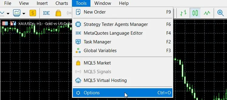 MetaTrader 5 Expert Advisor Options Configuration Window